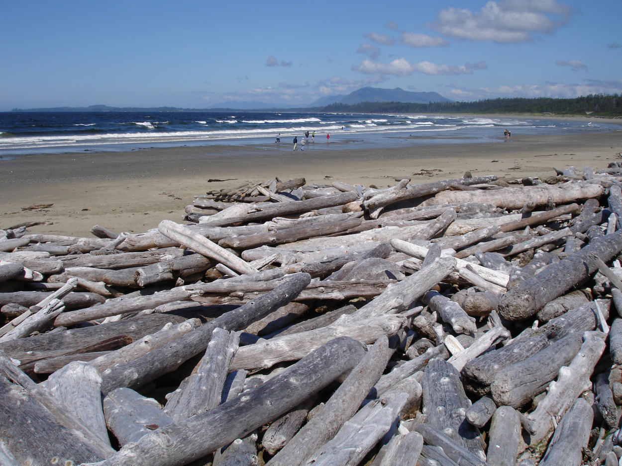 Treibholz am Wickaninnish Beach, Vancouver Island