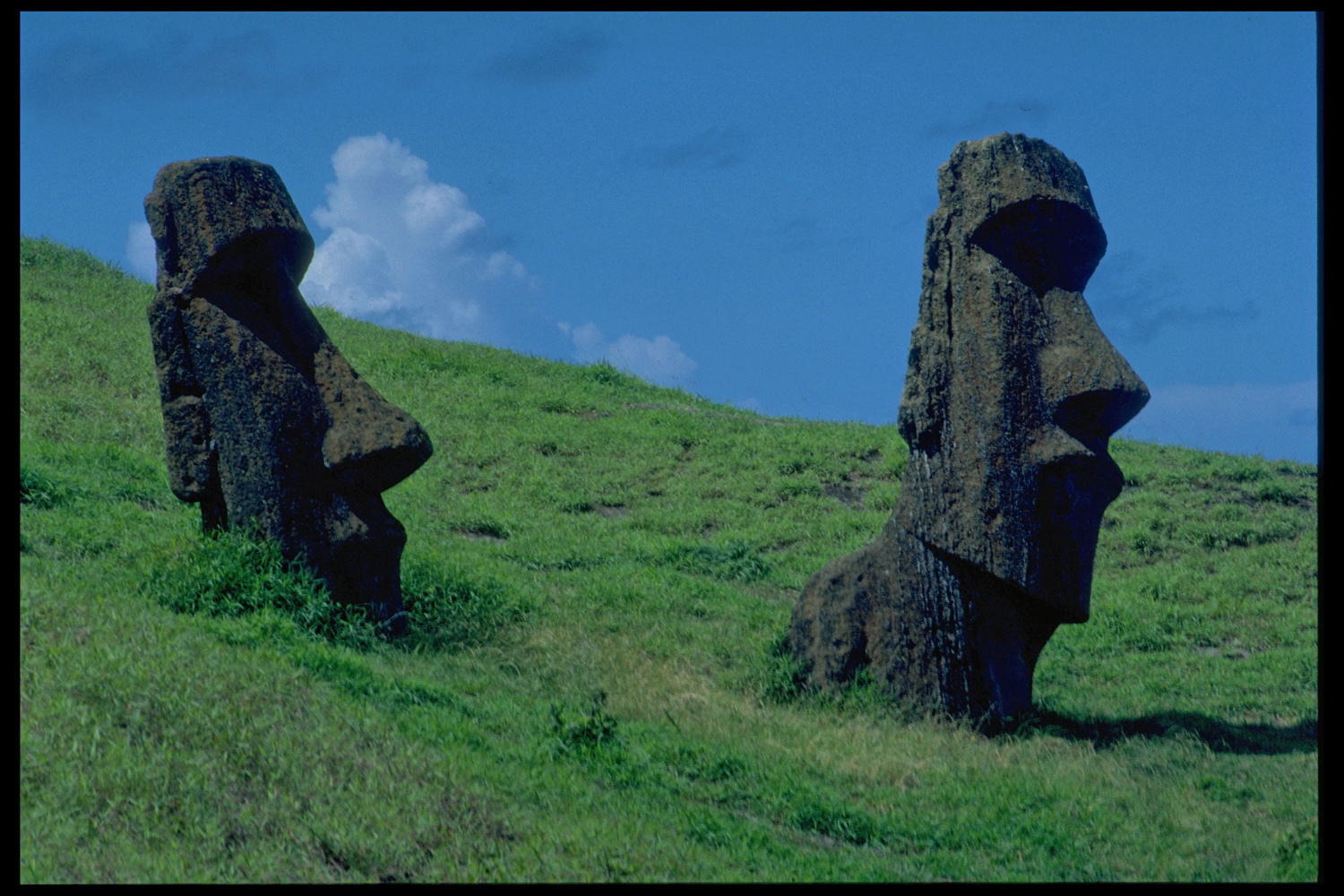 Steinfiguren, Moais, am Vulkan Rano Raraku