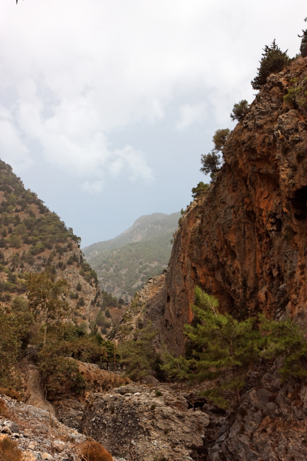 Samariaschlucht, Kreta