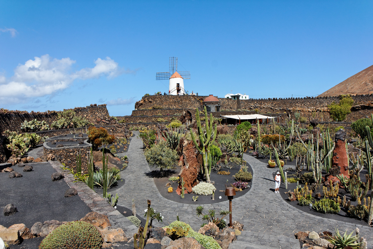Jardín de Cactus, Kakteengarten von César Manrique