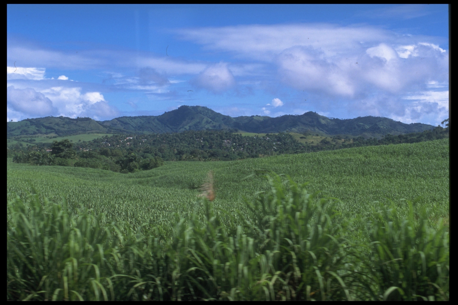 Landschaft zwischen Puerto Plata und Santiago, Dominikanische Republik