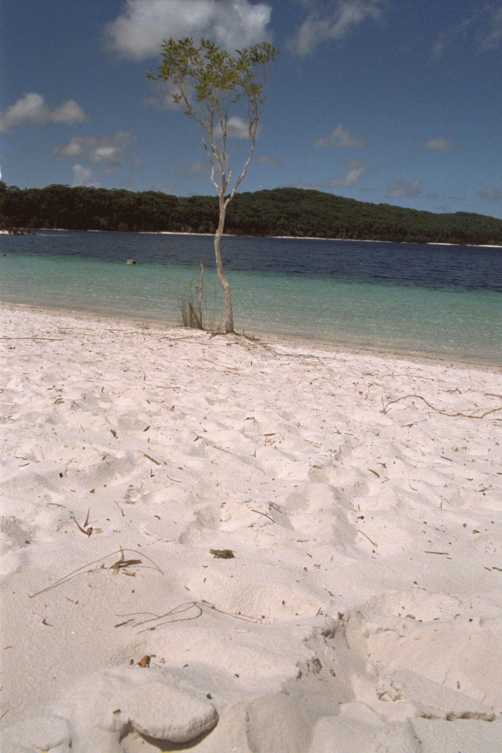 Süsswassersee auf Fraser Island