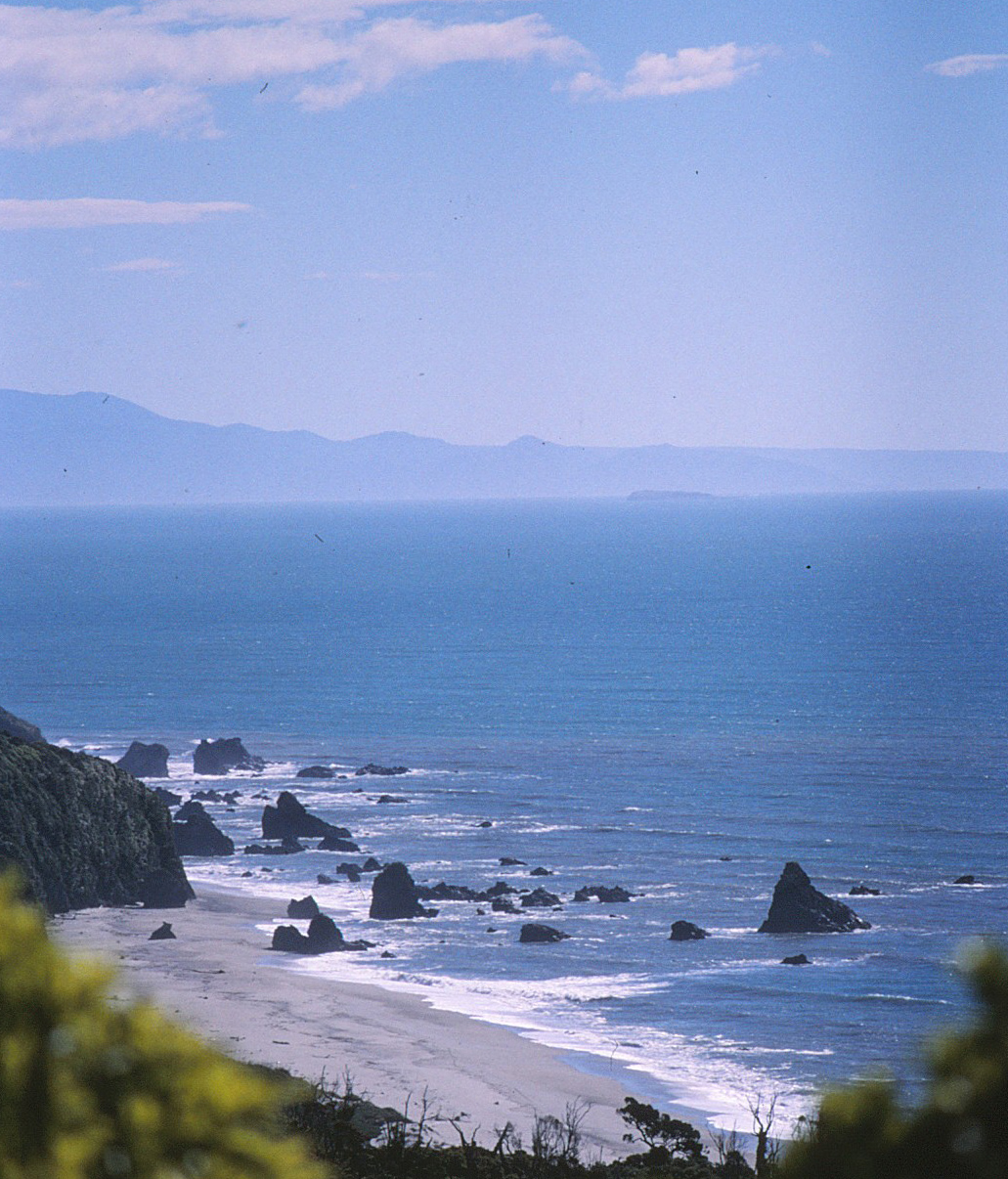 Westküste im Süden von Neuseeland