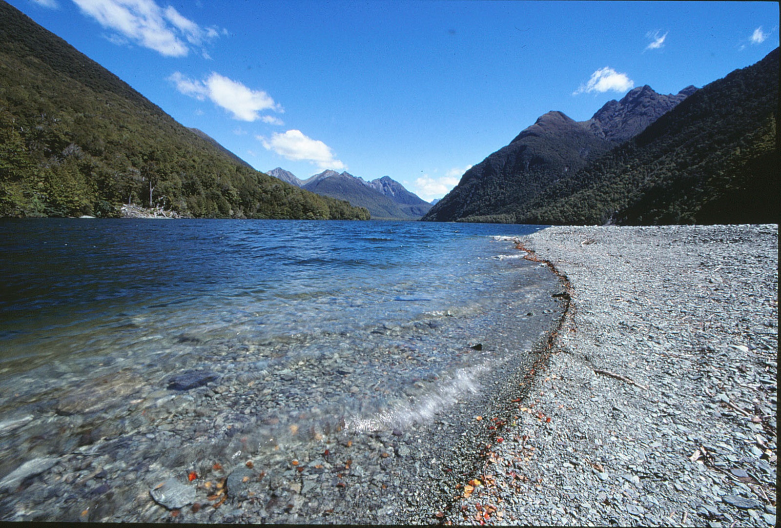 Lake Gunn, Neuseeland Südinsel