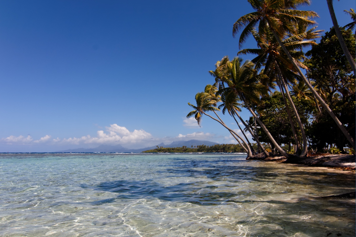 Palmeninsel vor Tahaa, Französisch Polynesien