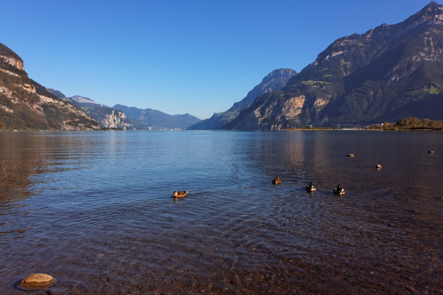 Am Ufer des Urnersees