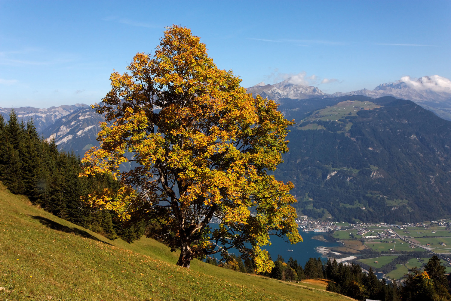 Im Gebiet Bärenstock