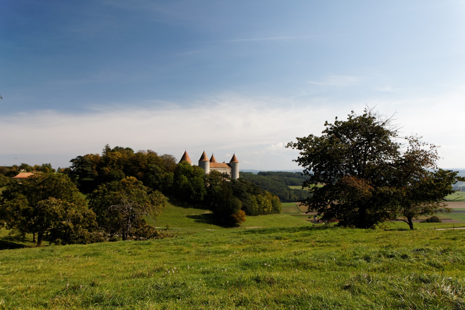 Château de Champvent